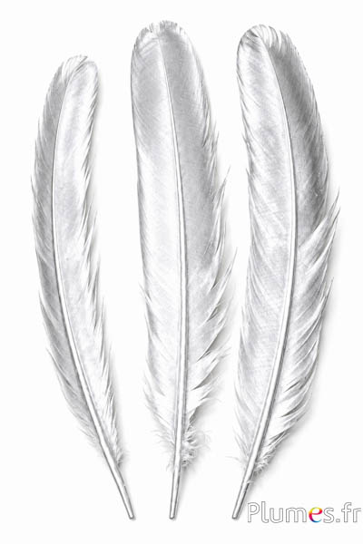 Pfau blau - 30-35 cm - silber